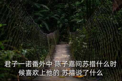 君子一諾，君子一諾是什么意思有沒有知道的現(xiàn)在有沒有這方面的君子  搜
