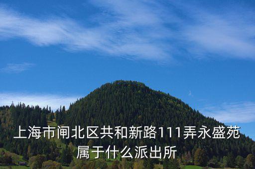 上海市閘北區共和新路111弄永盛苑屬于什么派出所