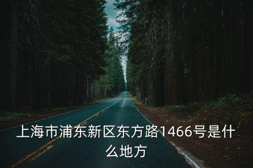 上海市浦東新區東方路1466號是什么地方