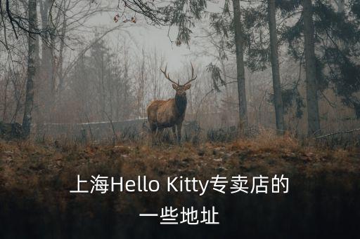上海Hello Kitty專賣店的一些地址