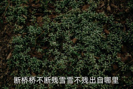 斷橋橋不斷殘雪雪不殘出自哪里