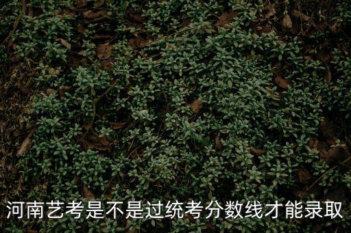 河南藝考是不是過統考分數線才能錄取
