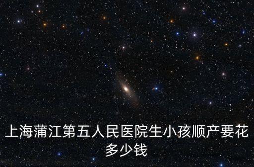 上海市第五人民醫院 生孩子，上海蒲江第五人民醫院生小孩順產要花多少錢