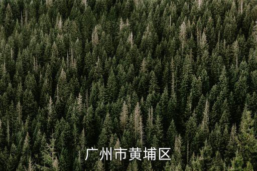 廣州黃埔區聯和街永紅村，廣州市黃埔區