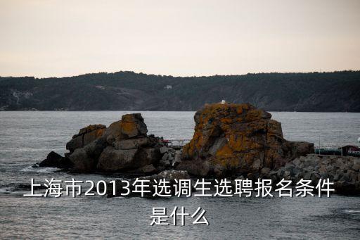上海市的集中選調，2013年上海選調生報名時間報名條件等