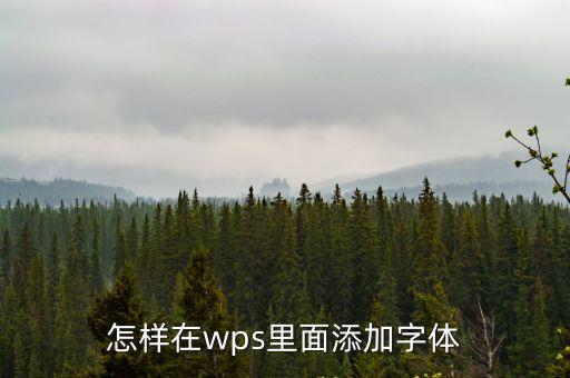 wps安裝字體，怎么在wps中添加字體