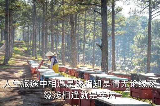 相遇就是緣，相遇就是緣分