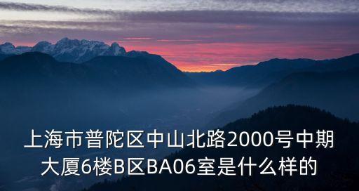 上海市普陀區中山北路2000號中期大廈6樓B區BA06室是什么樣的