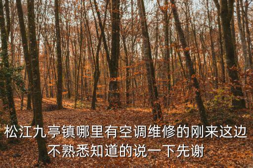 上海市松江九亭鎮(zhèn)拆裝空調(diào)，九亭空調(diào)移機(jī)