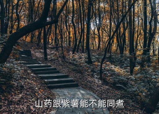 紫薯山藥，山藥跟紫薯能不能同煮