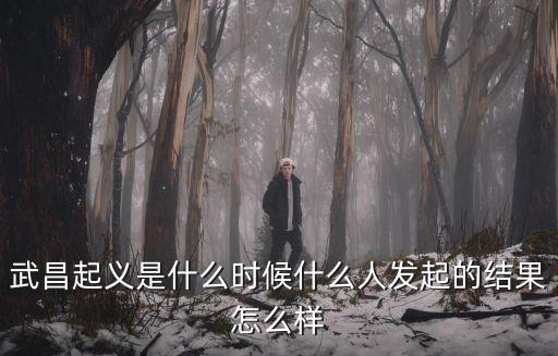 武昌起義的歷史意義，武昌起義成功的原因