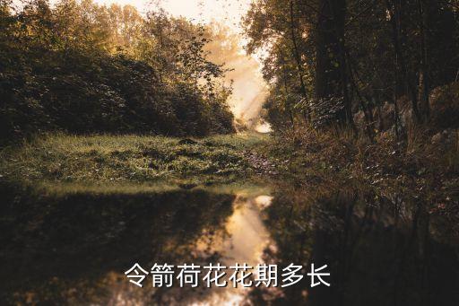 令箭花，令箭荷花花期多長