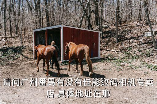 廣州佳能授權店地址在哪里，請問廣州佳能專賣店在廣州什么地方呢