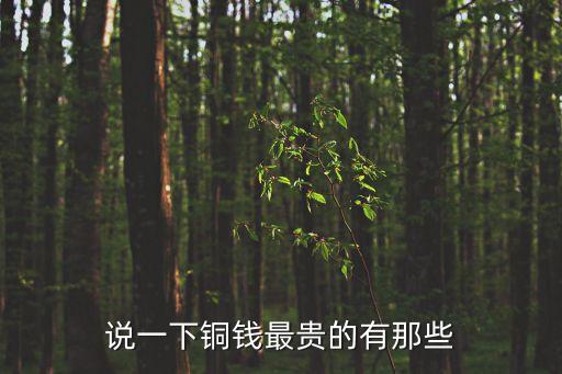 十大名貴銅錢，清代什么銅幣最值錢