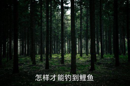 如何釣鯉魚，怎樣才能釣到鯉魚