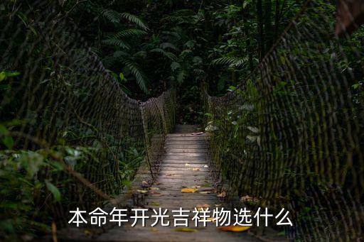 本命年吉祥物，本命年的吉祥物都是些什么啊