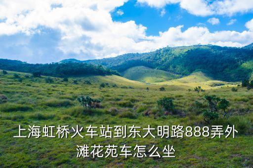 年上海市新外灘花苑，推薦幾家新外灘花苑周邊的專業美容機構吧謝謝了