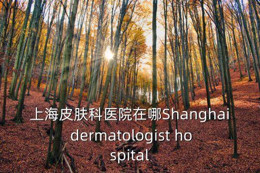 上海皮膚科醫院在哪Shanghai dermatologist hospital