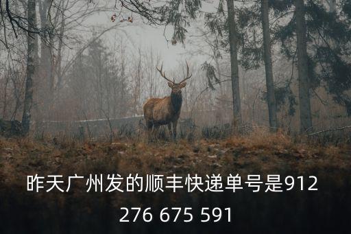 昨天廣州發的順豐快遞單號是912 276 675 591