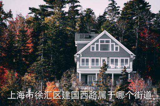 建國西路233弄小區(qū) 上海市徐匯區(qū)，上海徐匯哪里有新交房的小區(qū)