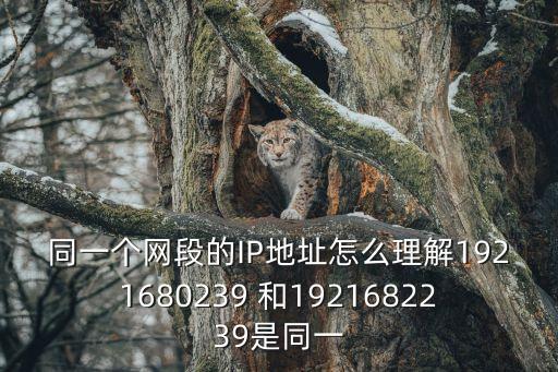 同一個(gè)網(wǎng)段的IP地址怎么理解1921680239 和1921682239是同一