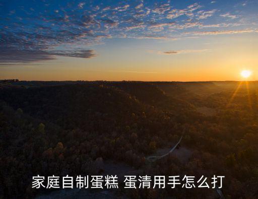 家庭自制蛋糕 蛋清用手怎么打