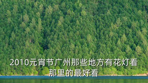 2010元宵節廣州那些地方有花燈看那里的最好看