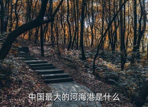 上海市是我國最大的什么港口，上海最大是什么港口可以進多少噸船