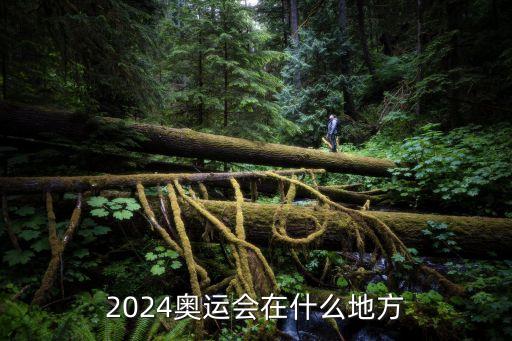 奧運會2024是哪個國家，2024年奧運會在那個國家舉行