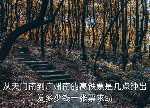 從天門南到廣州南的高鐵票是幾點鐘出發多少錢一張票求助
