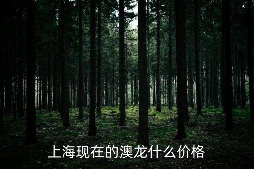 上海現(xiàn)在的澳龍什么價(jià)格