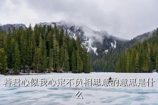 若君心似我心定不負相思意的意思是什么