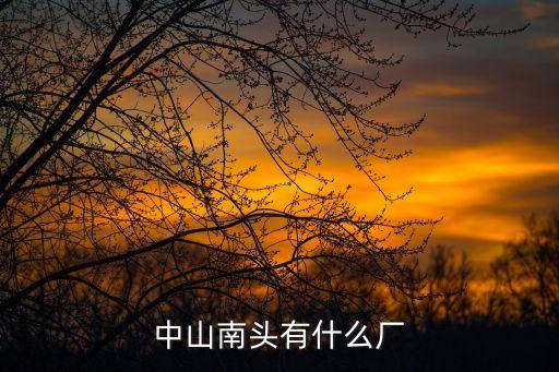 廣州中山南頭有哪些企業(yè)，中山南頭有什么廠