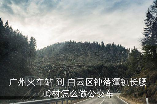 廣州火車站 到 白云區鐘落潭鎮長腰嶺村怎么做公交車
