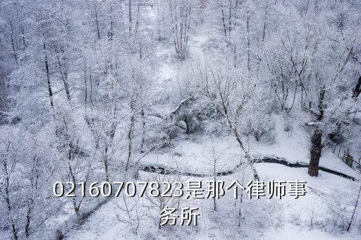 上海市政明律師事務所，02160707823是那個律師事務所