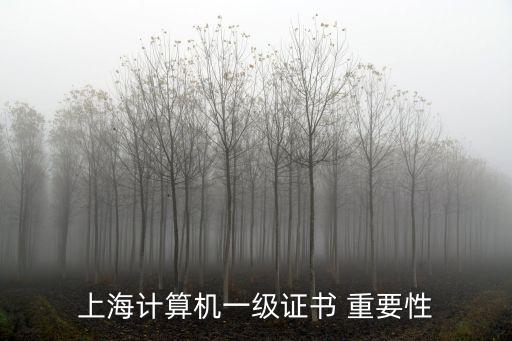 上海計(jì)算機(jī)一級(jí)證書(shū) 重要性