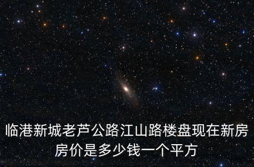 臨港新城老蘆公路江山路樓盤現在新房房價是多少錢一個平方