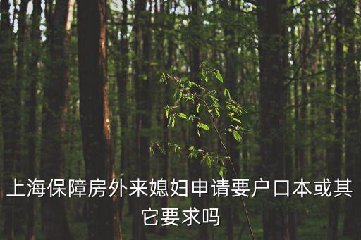 上海保障房外來媳婦申請要戶口本或其它要求嗎