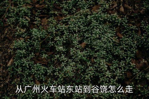 廣州到谷饒高鐵怎么走，從廣州火車站東站到谷饒怎么走