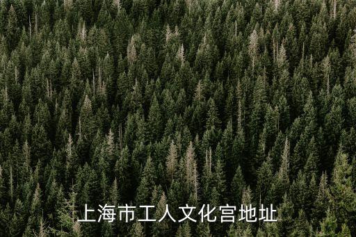 上海市工人文化宮地址