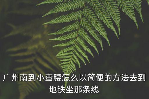 廣州南站到小蠻腰票價，廣州南到小蠻腰怎么以簡便的方法去到地鐵坐那條線