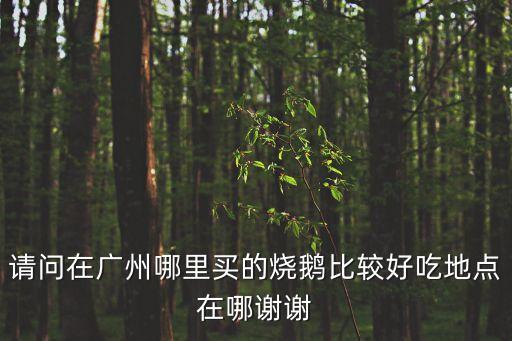 請問在廣州哪里買的燒鵝比較好吃地點在哪謝謝