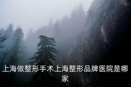 上海市整型手術，上海做整形手術上海整形品牌醫院是哪家