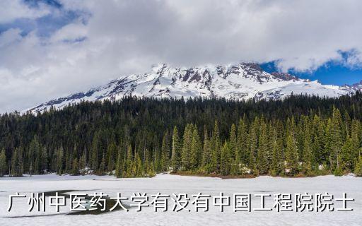 廣州醫(yī)藥大學院士，廣東醫(yī)學院有院士嗎