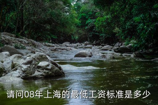 上海市2008年最低薪資，請問08年上海的最低工資標準是多少