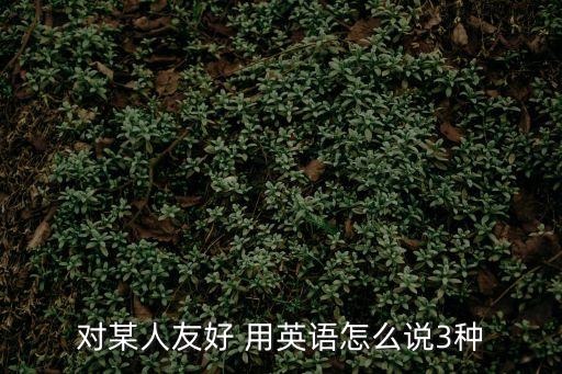 對某人友好，對某人友好怎么說