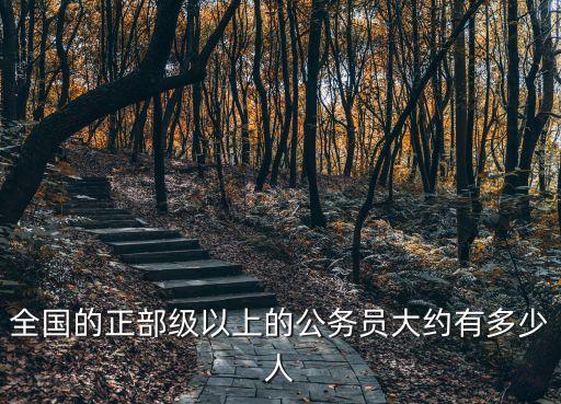 上海市正部級(jí)干部有多少人，全國(guó)的正部級(jí)以上的公務(wù)員大約有多少人