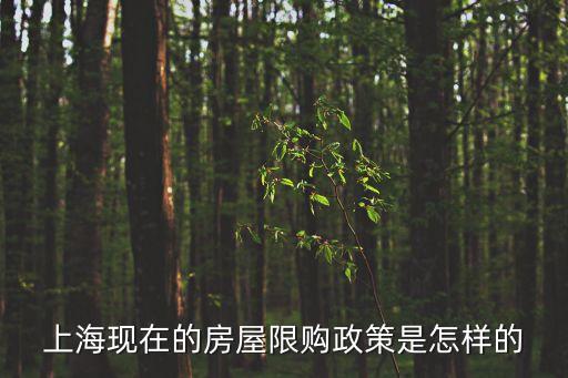 上?，F在的房屋限購政策是怎樣的