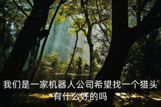 我們是一家機器人公司希望找一個獵頭有什么好的嗎