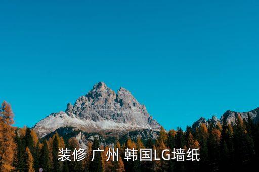 廣州lg木紋，裝修 廣州 韓國LG墻紙